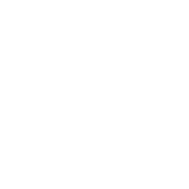 costumer_icon