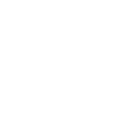 support_icon