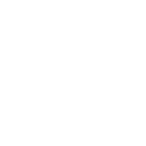 Supportive approach from the initial consultation through to settling in the USA.